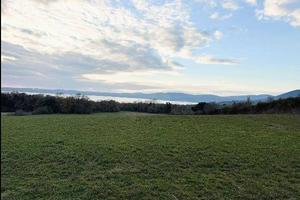 Terreno di 32900 m² a Trevignano Romano