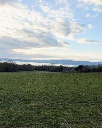 Terreno di 32900 m² a Trevignano Romano
