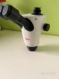 microscopio Leica s9d