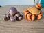 Immagine 4