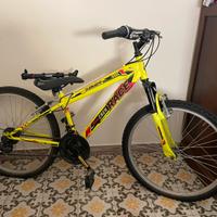 Bicicletta ragazzo