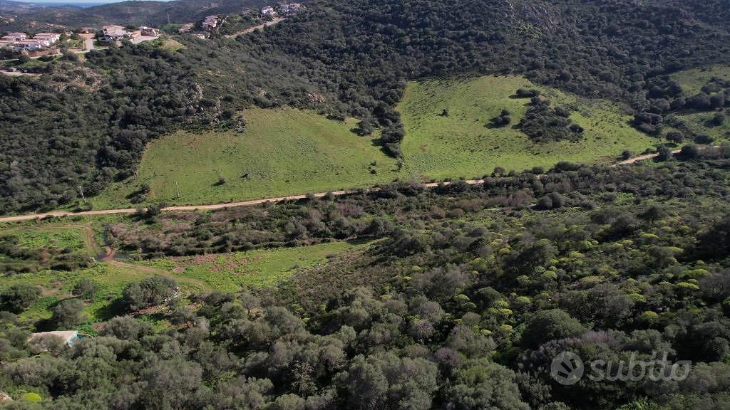 Terreno di 25000 m² a Loiri Porto San Paolo - Vista 3