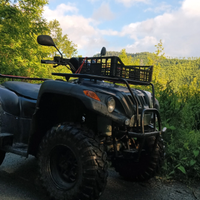 Quad 4x4 GMAX 430CC
