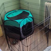 Recinto per cani