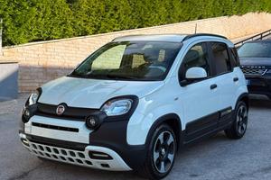 FIAT Panda 1.0 FireFly S&S Hybrid Pandina
