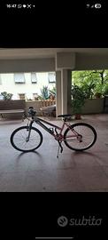 bicicletta