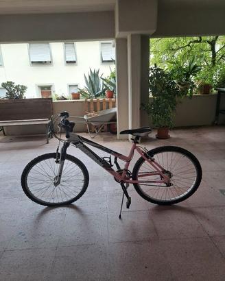 bicicletta