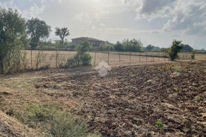 TER. RESIDENZIALE A PIEDIMONTE SAN GERMANO