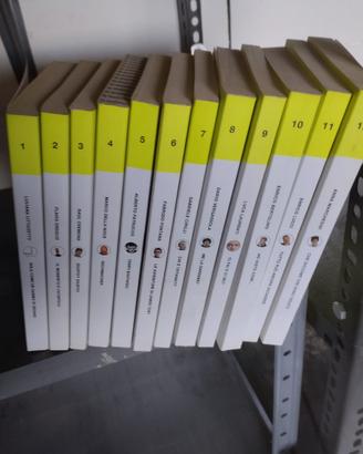 Raccolta libri