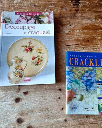 Coppia libri decoupage 
