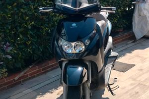  Beverly 250 Ie