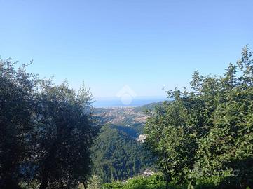 RUSTICO A CARASCO