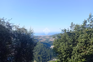 RUSTICO A CARASCO