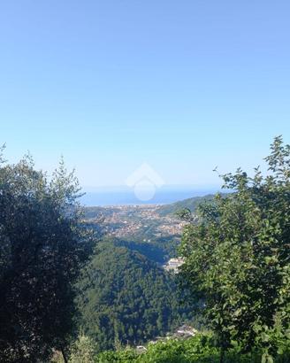 RUSTICO A CARASCO