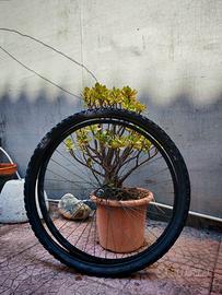 CERCHIONE ANTERIORE E COPERTONE 26"