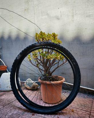 CERCHIONE ANTERIORE E COPERTONE 26"