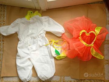 costumi di carnevale 