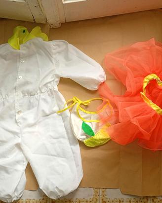 costumi di carnevale 