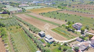 TER. AGRICOLO A GIULIANOVA