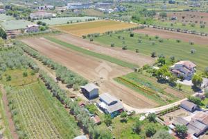 TER. AGRICOLO A GIULIANOVA