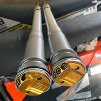Sospensioni ohlins ttx per wp