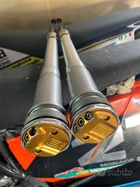Sospensioni ohlins ttx per wp