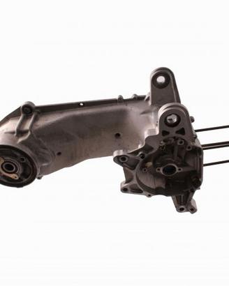 Carter motore Malaguti F12 100 - 60329900