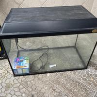 Acquario