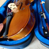 violino 