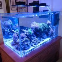 Acquario 370 litri