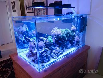Acquario 370 litri