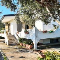 Casa vacanze immersa nel verde