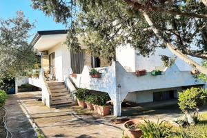 Casa vacanze immersa nel verde