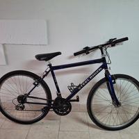 mountain bike