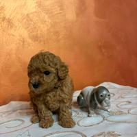 Barboncino red mini toy