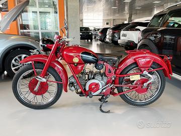 Moto Guzzi Airone 250 - 1952 - 1952