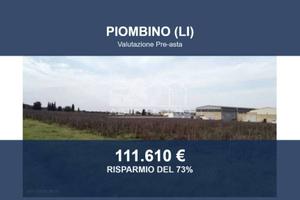 Immobile in asta di 31385 m² a Piombino