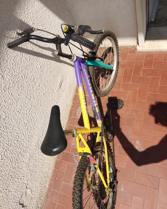 bicicletta per ragazzo 