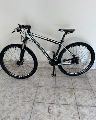 Mountain bike muscolare