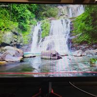 Acer Nitro Monitor gaming Nitro VG220Q + Staffa