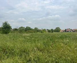 Terreno Edificabile a Alessandria