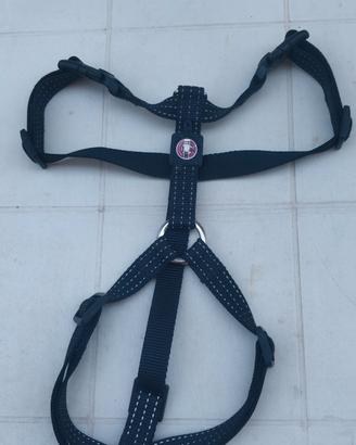 Pettorina ad H, marca Pet Around taglia M