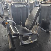 Leg Extension Matrix - no Technogym