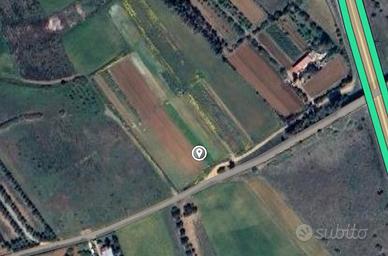 Terreno Agricolo