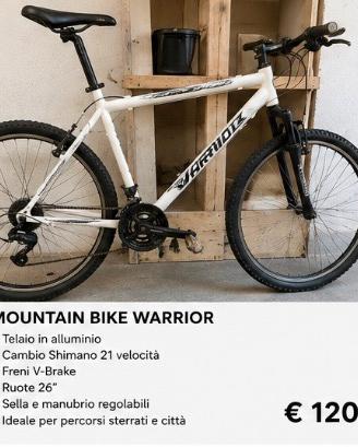 Mountain Bike 26” Shimano 21 velocità
