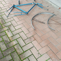 Bicicletta da uomo Bottecchia
