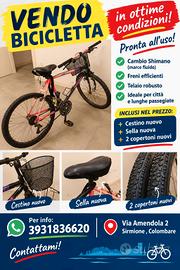 bicicletta usata