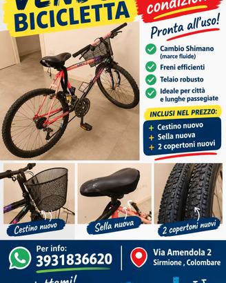 bicicletta usata