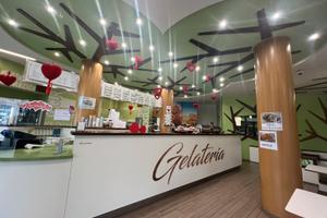 Gelateria caffetteria