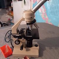 microscopio 
